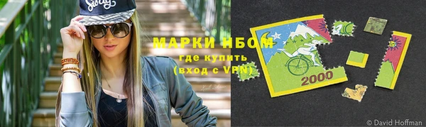 стаф Дегтярск