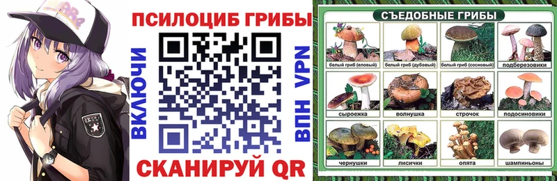 Галлюциногенные грибы Psilocybine cubensis  Анжеро-Судженск 